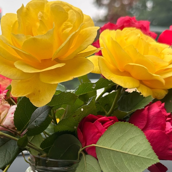 Meet your Posher, - Picture 11 of 15